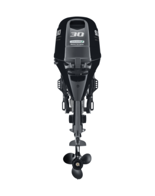 Suzuki DF30ARS