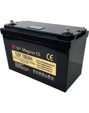 LiFePO4 SJY (12.8V, 100Ah) + charger 10A