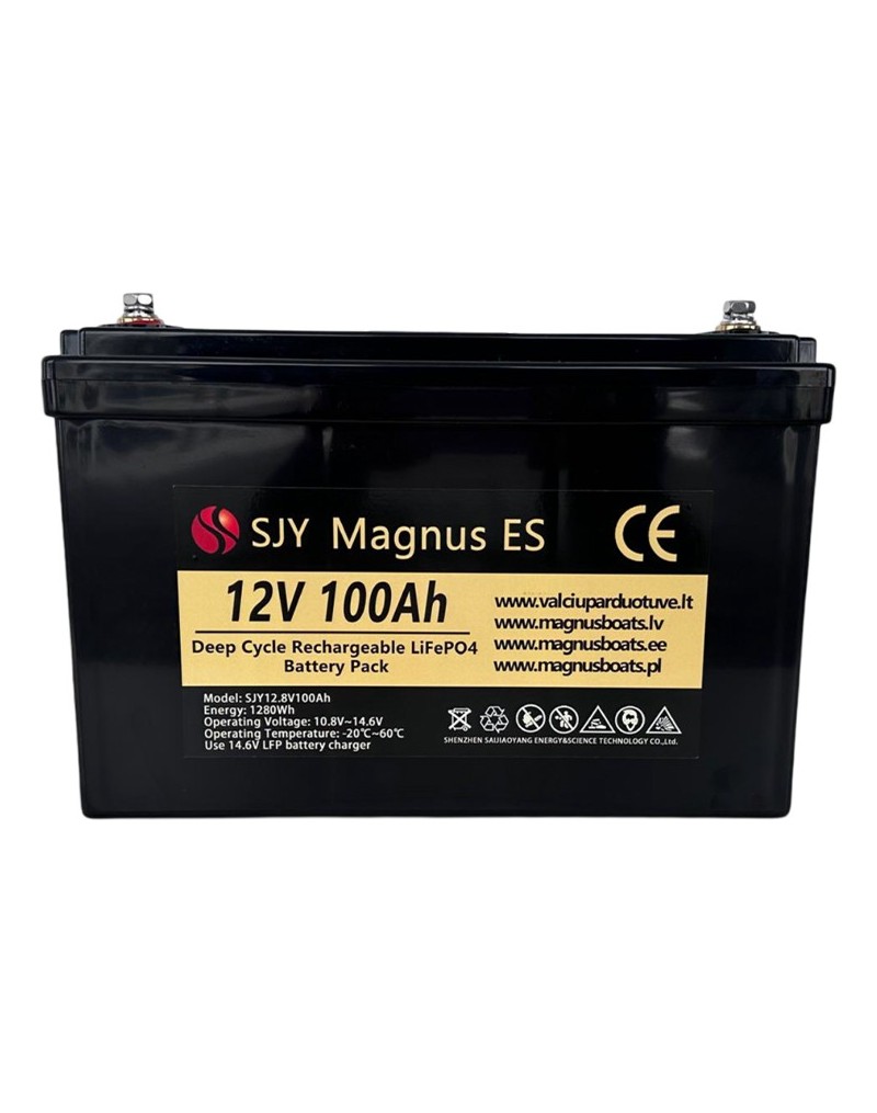 LiFePO4 SJY (12.8V, 100Ah) + charger 10A