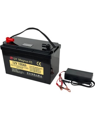 LiFePO4 SJY (12.8V, 100Ah) + charger 10A