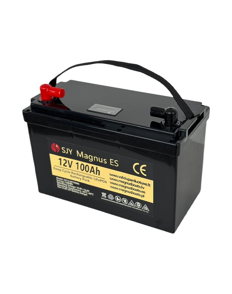 LiFePO4 SJY (12.8V, 100Ah) + зарядное устройство 10A