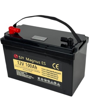 LiFePO4 SJY (12.8V, 100Ah) + зарядное устройство 10A