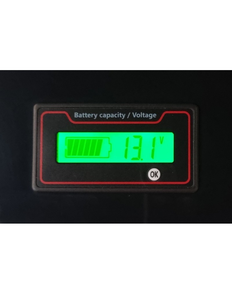 LiFePO4 SJY (12.8V, 100Ah) + зарядное устройство 10A
