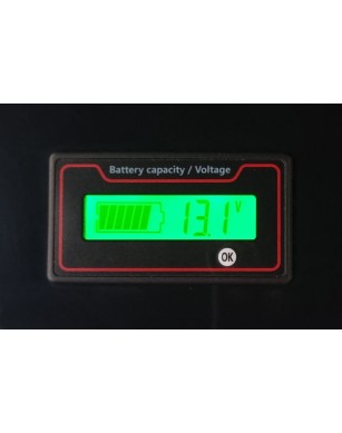 LiFePO4 SJY (12.8V, 100Ah) + charger 10A