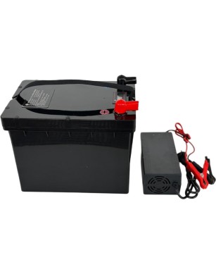 LiFePO4 SJY (25.6V, 65Ah) + зарядное устройство 10A