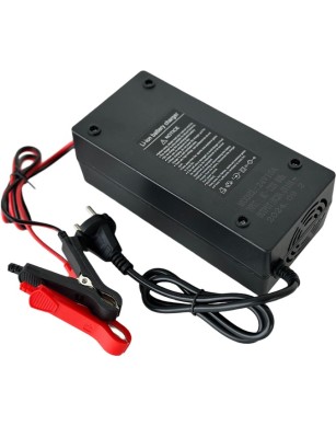 LiFePO4 SJY (25.6V, 100Ah) + зарядное устройство 10A