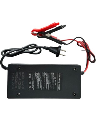 LiFePO4 SJY (25.6V, 100Ah) + charger 10A