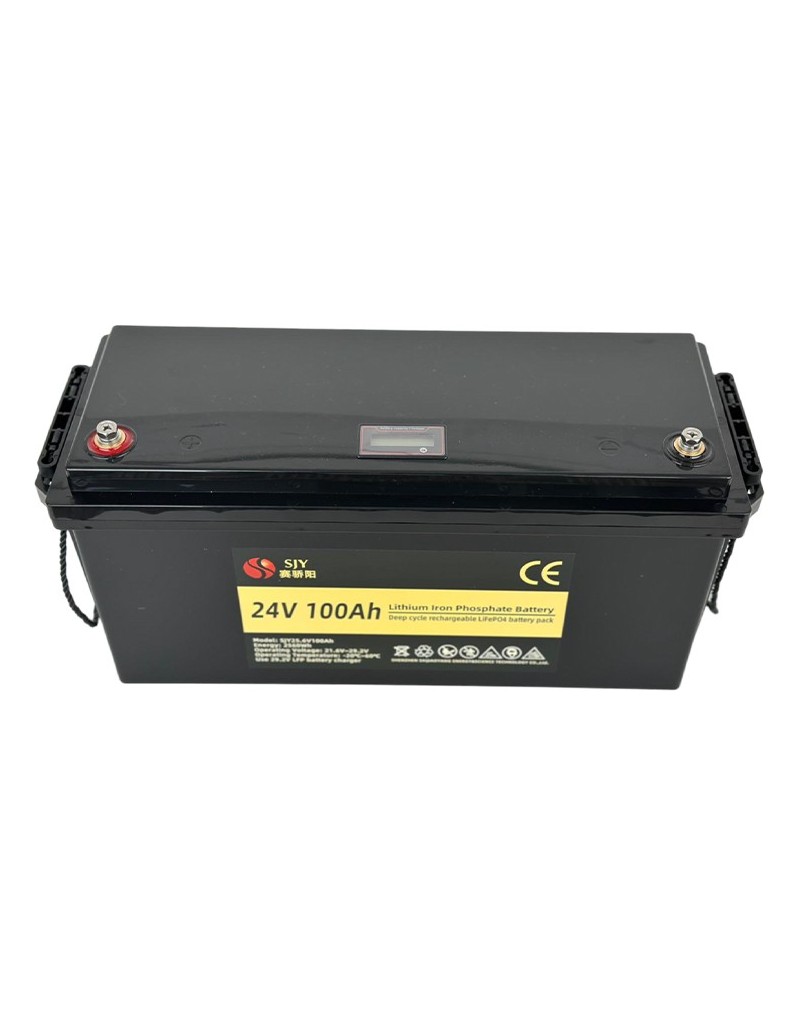 LiFePO4 SJY (25.6V, 100Ah) + зарядное устройство 10A